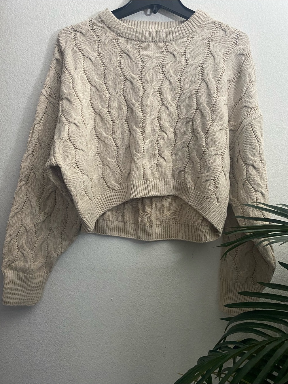 Pink Rose Cropped Cable-Knit Sweater - Cream